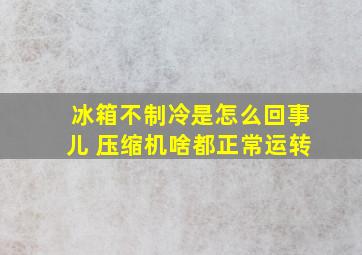 冰箱不制冷是怎么回事儿 压缩机啥都正常运转